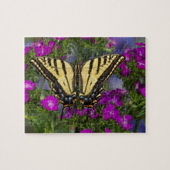 Puzzle Un papillon vice-roi sur des fleurs rose foncé (Horizontal)