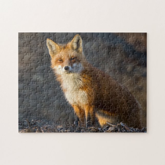 Puzzle Un Petit Fox mignon (Horizontal)