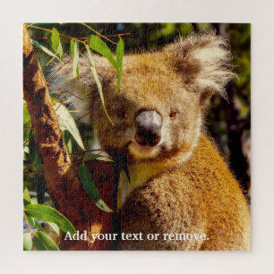 Puzzle Un petit ours brun koala mange des feuilles d'euca