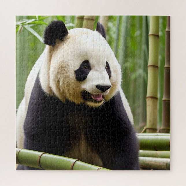 Puzzle Un portrait en gros plan d'un panda (Vertical)