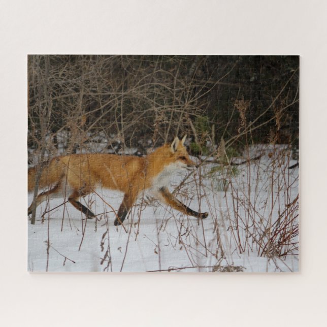 Puzzle Un renard qui se promène dans la neige par un jour (Horizontal)