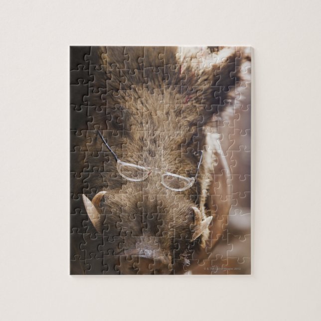 Puzzle un sanglier farci portant des lunettes devant un (Vertical)