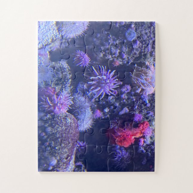 Puzzle Underwater  (Vertical)