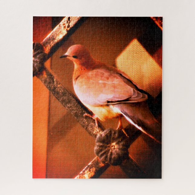 Puzzle Une adorable colombe (Vertical)
