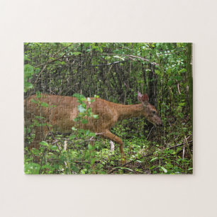 Puzzle Une balade par les bois