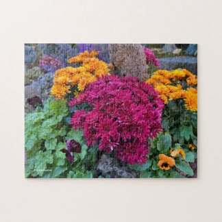 Puzzle Une Explosion Colorée de Fleurs de Chrysanthème d'