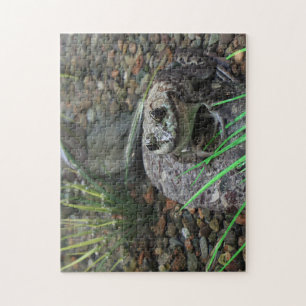 Puzzle Une grenouille heureuse