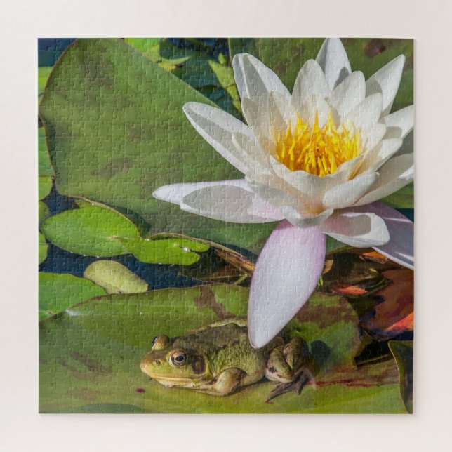 Puzzle Une grenouille sous une fleur de nénuphar (Vertical)