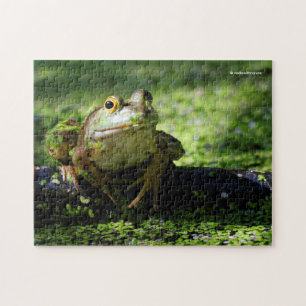 Puzzle Une jolie grenouille verte frappe un pot sur le tu