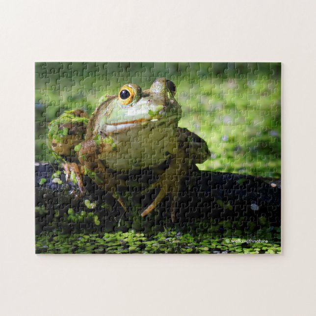 Puzzle Une jolie grenouille verte frappe un pot sur le tu (Horizontal)