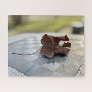 Puzzle Une leçon d'échecs