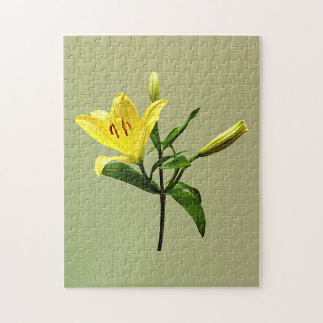 Puzzle Une Lys Jaune (Vertical)