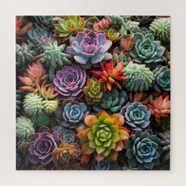 Puzzle Une masse de succulentes (Vertical)