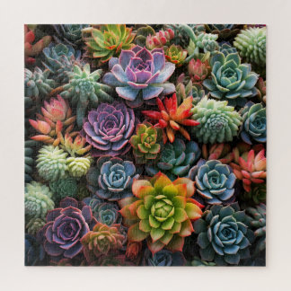Puzzle Une masse de succulents