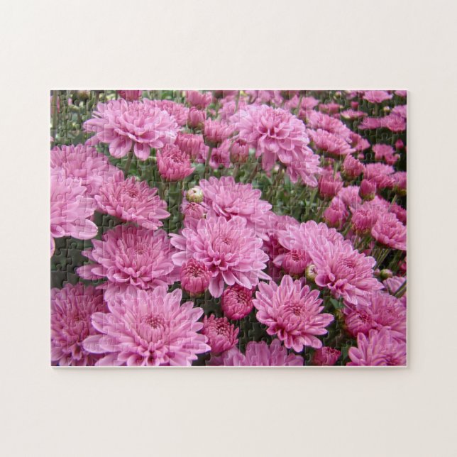 Puzzle Une mer de chrysanthèmes roses #2 (Horizontal)
