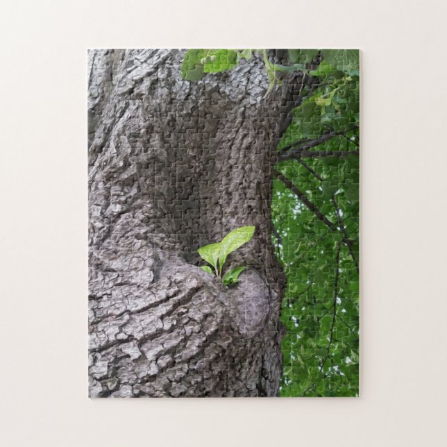 Puzzle Une nouvelle brindille (Vertical)
