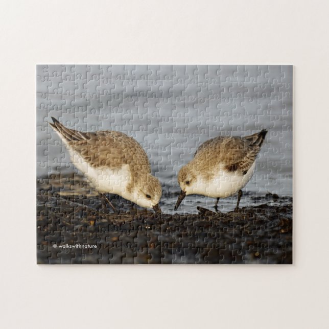 Puzzle Une paire d'actions Sanderlings (Horizontal)