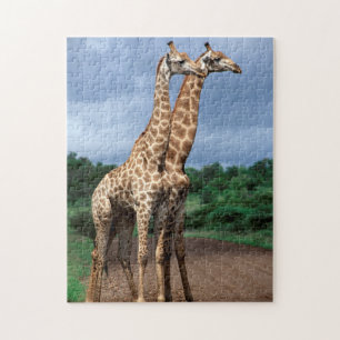Puzzle Une paire de girafes sur la route, Kruger National