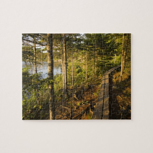 Puzzle Une passerelle en bois dans le parc national d'Aca (Horizontal)