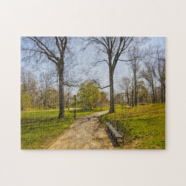 Puzzle Une photographie abstraite de Central Park New Yor (Horizontal)