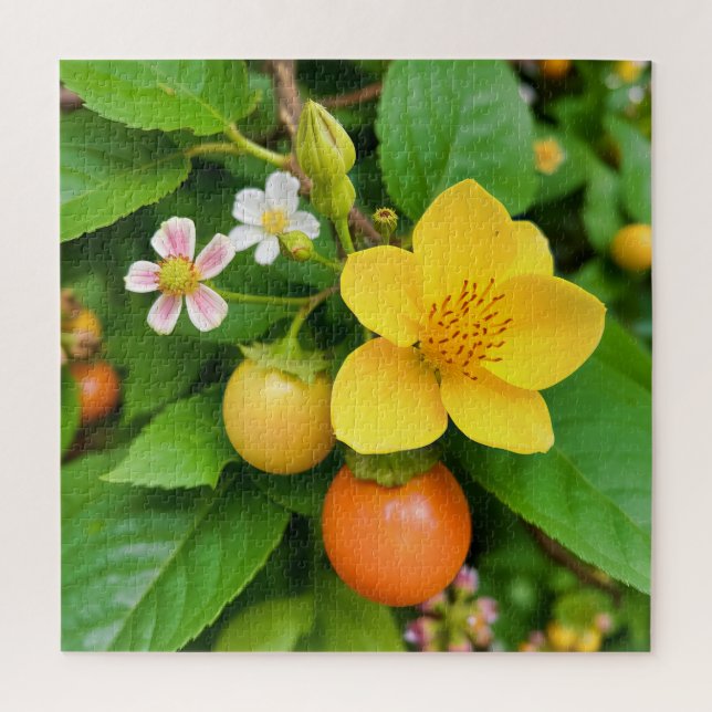 Puzzle Une plante à fleurs (Vertical)