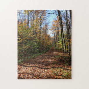 Puzzle Une Promenade Au Milieu De L'Automne Colorée Lais