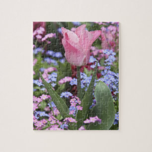 Puzzle Une tulipe au Jardin du Luxembourg, Paris, France