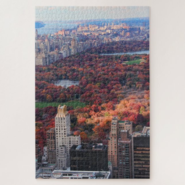 Puzzle Une vue d'en haut : Automne dans le Central Park (Vertical)