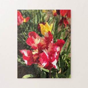 Puzzle Unique Tulipe rouge et blanche