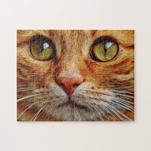 Puzzle Up Close of Orange Tabby Cat (Horizontal)