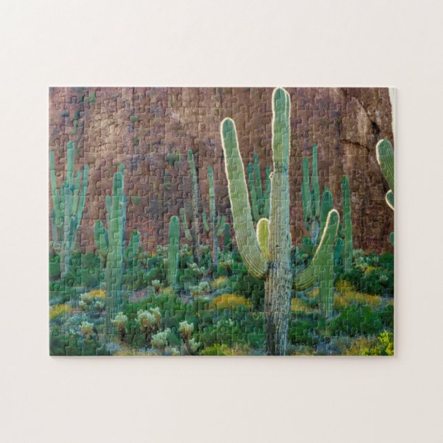 Puzzle USA, Arizona. Le Champ De Cactus Du Saguaro Par Un (Horizontal)