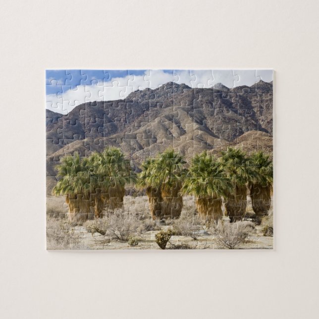Puzzle USA, Californie, Anza-Borrego Desert State Park. (Horizontal)
