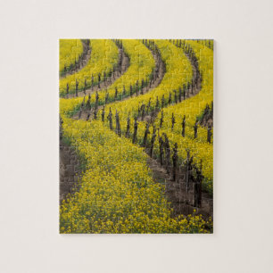 Puzzle USA, Californie, Napa Valley, Los Carneros Ava.