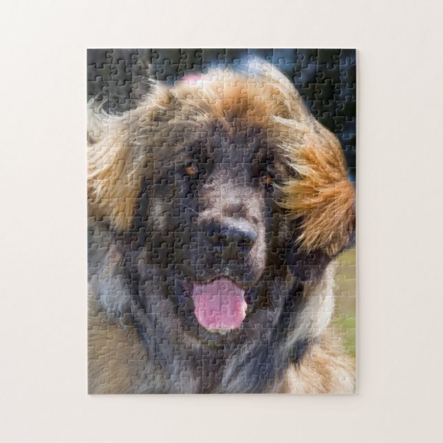 Puzzle USA, Californie. Portrait De Leonberger Assis (Vertical)