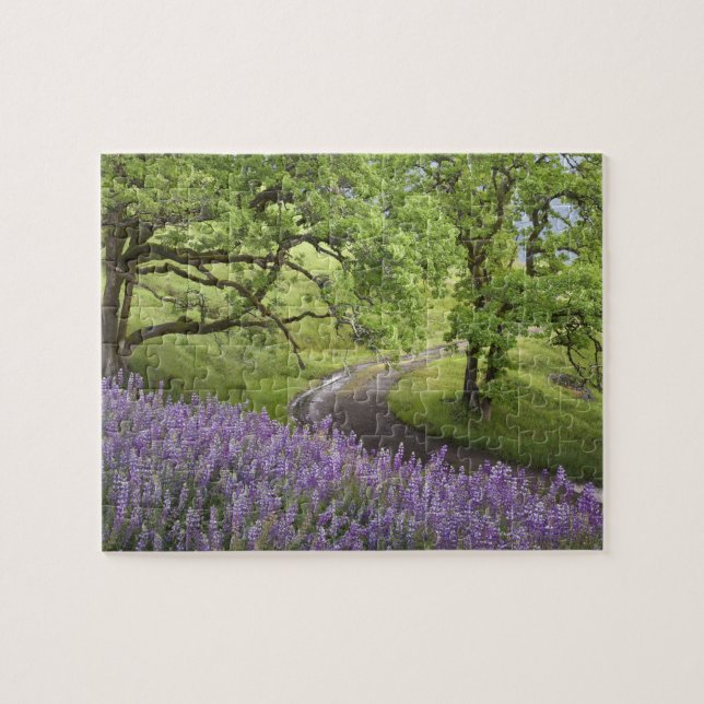 Puzzle USA, Californie, Redwood National Park. Jeu (Horizontal)