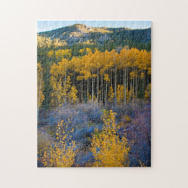 Puzzle USA, Colorado. Bright Yellow Aspens in Rockies (Vertical)