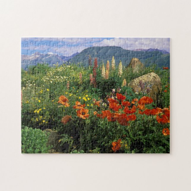 Puzzle USA, Colorado, Crested Butte. Pépites et lupins (Horizontal)