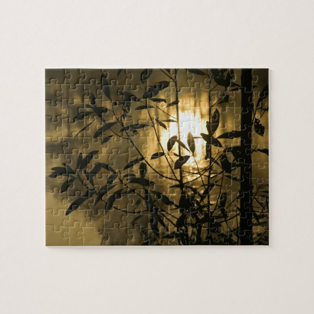 Puzzle USA, Géorgie, Callaway Gardens, Sunrise (Horizontal)