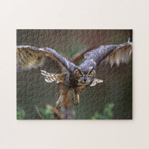 Puzzle USA, Géorgie, Pine Mountain, Callaway Gardens