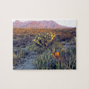 Puzzle USA, Texas, Big Bend NP. Un crépuscule rose sablon