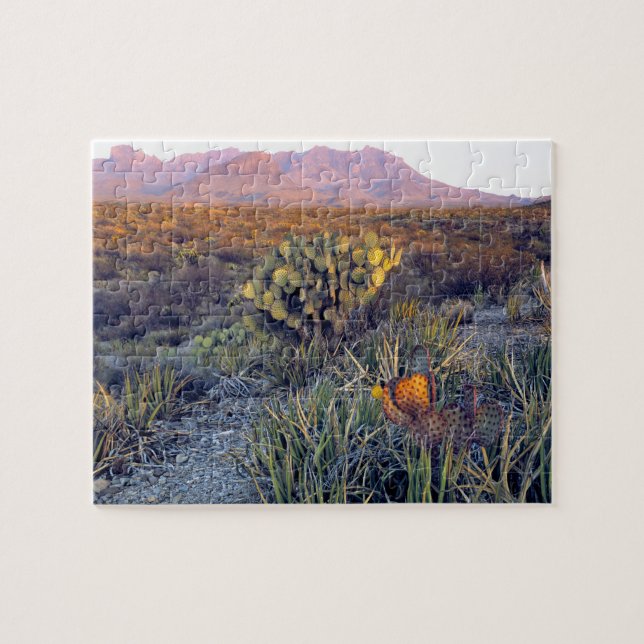 Puzzle USA, Texas, Big Bend NP. Un crépuscule rose sablon (Horizontal)