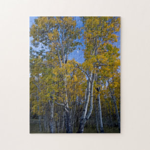 Puzzle Utah. États-Unis. Peupliers trembles et lune au cr