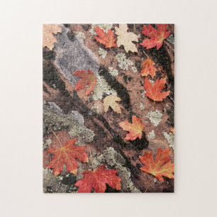Puzzle Utah, parc national de Zion, Motifs d'automne