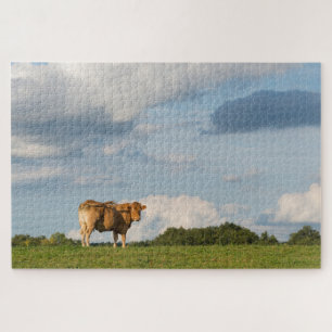 Puzzle Vache Blonde d'Aquitaine en Dordogne, France