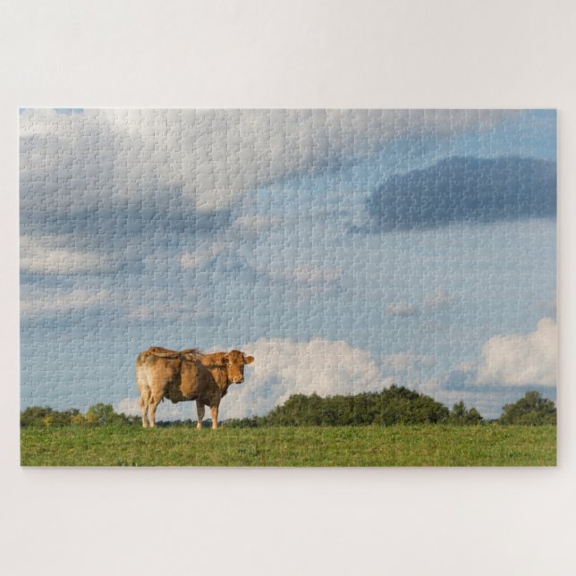 Puzzle Vache Blonde d'Aquitaine en Dordogne, France (Horizontal)