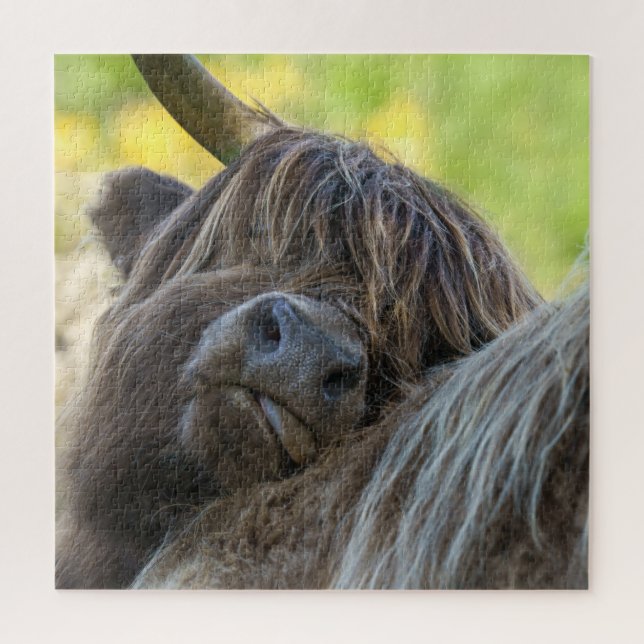 Puzzle Vache Brown Highland (Vertical)