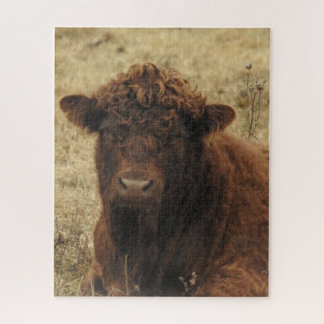 Puzzle Vache Brown se détendre à la ferme (Vertical)