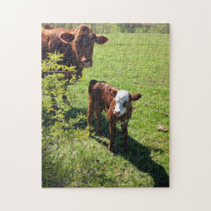 Puzzle Vache & Calf