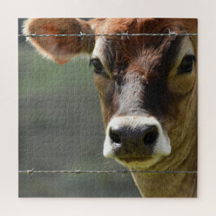 Puzzle Vache curieuse regardant à travers une clôture de