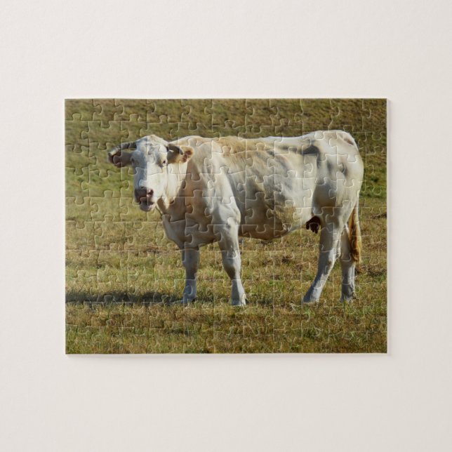 Puzzle Vache de Blonde Aquitaine (Horizontal)